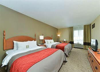 Comfort Near Davenport