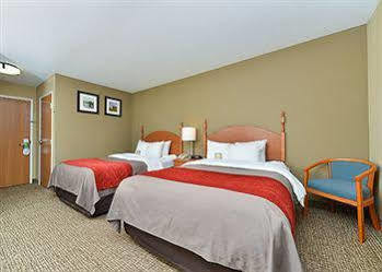 Comfort Near Davenport Walcott